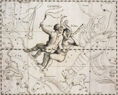 La costellazione dei Gemelli, illustrazione dal Firmamentum Sobiescianum sive Uranographia, di Johann Hevelius (1611-1687), Danzica 1690 da Johannes Hevelius