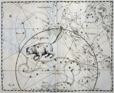Orsa Minore, costellazione boreale dell
