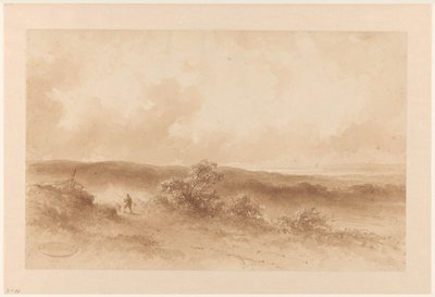 Paesaggio dunale da Johannes Hilverdink