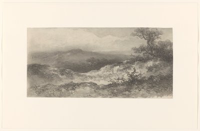 Paesaggio dunale da Johannes Hilverdink