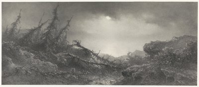 Dopo la tempesta da Johannes Hilverdink