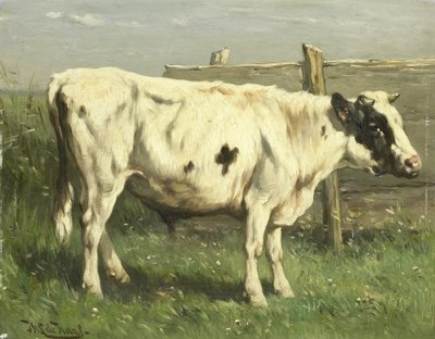 Giovane Toro da Johannes Hubertus Leonardus de Haas