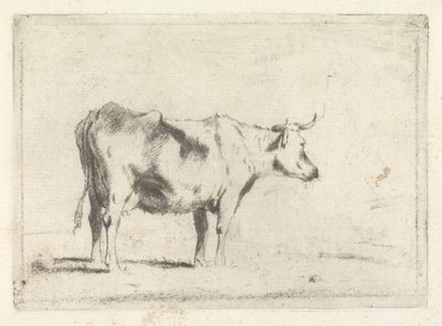 Mucca, verso destra da Johannes Janson (possibly)