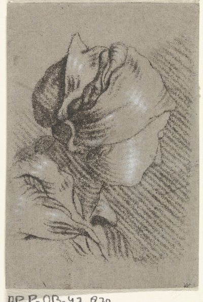 Busto di donna da Johannes Janson (possibly)
