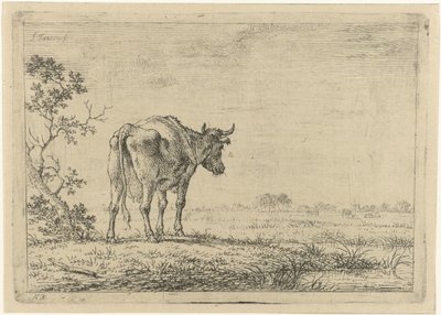 Mucca nel pascolo da Johannes Janson