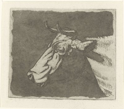 Testa di mucca da Johannes Janson