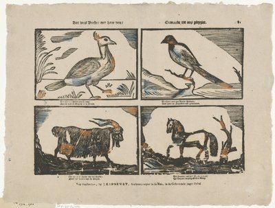 Guarda queste bestie con i suoi quattro / Fatto per il nostro piacere da Johannes Kannewet (II)