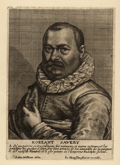 Ritratto di Roelant Savery, pittore fiammingo dell
