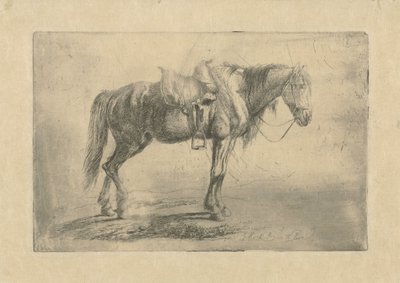 Cavallo sellato verso destra da Johannes Mock