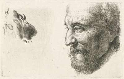 Ritratto di un vecchio di profilo da Johannes Mock