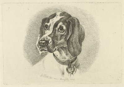 Testa di cane con collare con anello da Johannes Mock