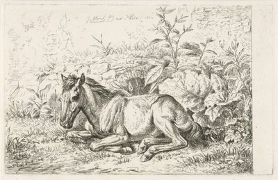 Cavallo sdraiato davanti a qualche pianta da Johannes Mock
