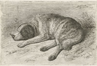 Cane che dorme verso sinistra da Johannes Mock