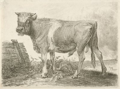 Toro da Johannes Mock