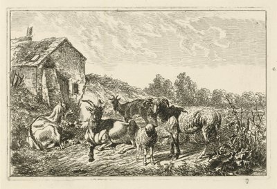 Quattro capre e una pecora vicino a una casa da Johannes Mock