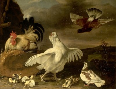Gallo e gallina con pulcini e piccioni da Johannes Spruyt