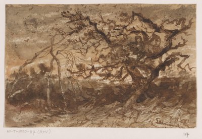Albero al tramonto da Johannes Tavenraat (signed by artist)