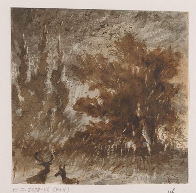 Cervi e uccelli vicino ad alberi alti da Johannes Tavenraat (signed by artist)