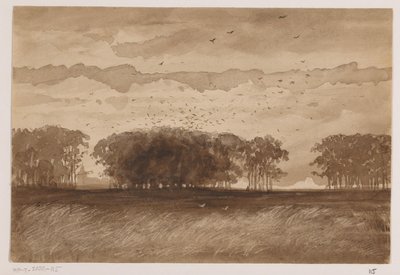 Colonia di corvi in Brabante Settentrionale da Johannes Tavenraat (signed by artist)