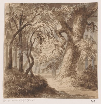 Paesaggio boschivo da Johannes Tavenraat