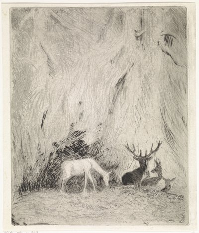 Cervi in una foresta boema da Johannes Tavenraat