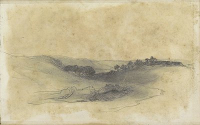 Paesaggio collinare con alberi da Johannes Tavenraat