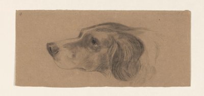 Testa di un cane, verso sinistra da Johannes Tavenraat