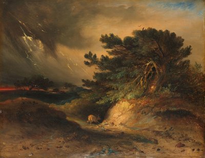 Il temporale da Johannes Tavenraat