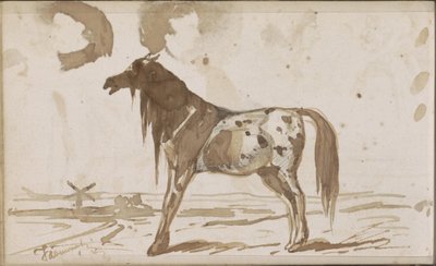 Paesaggio piatto con un cavallo da Johannes Tavenraat