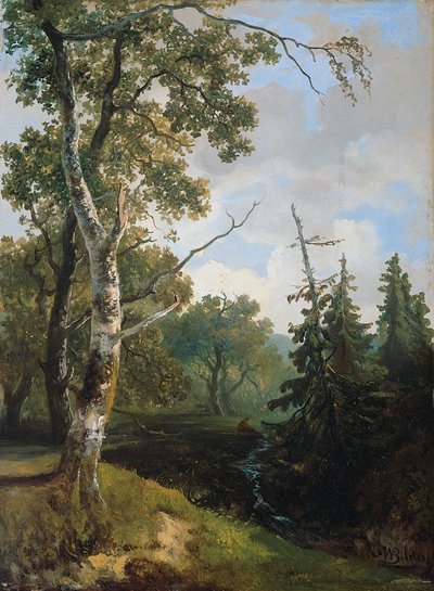 Vista della foresta vicino a Wolfheze. da Johannes Warnardus Bilders