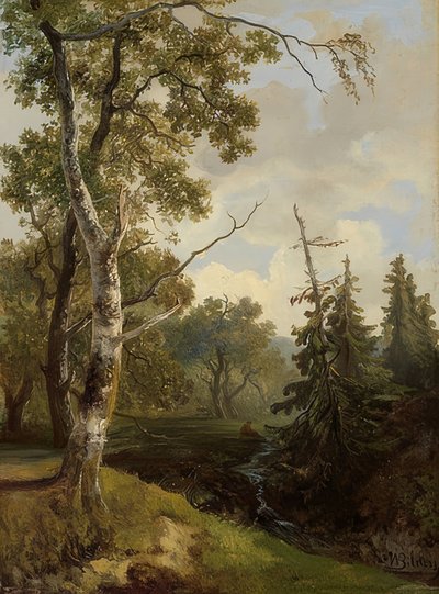 Bosco vicino a Wolfheze (Bosgezicht bij Wolfheze) da Johannes Warnardus Bilders