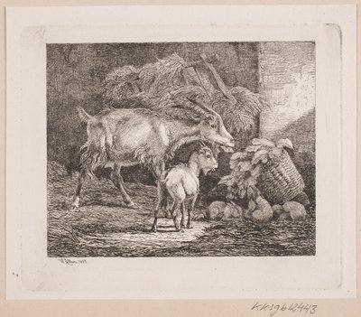 Una capra, un capretto e conigli in una stalla da Johannes Wilhelm Zillen