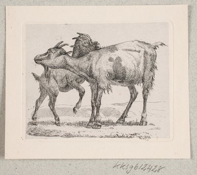 Una capra con il suo capretto da Johannes Wilhelm Zillen