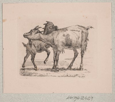 Una capra con il suo capretto da Johannes Wilhelm Zillen