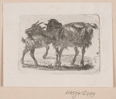 Una capra con il suo capretto da Johannes Wilhelm Zillen