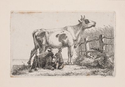 Una mucca riposante e una in piedi da Johannes Wilhelm Zillen