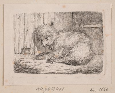 Un cane a pelo lungo da Johannes Wilhelm Zillen