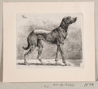 Un cane in piedi da Johannes Wilhelm Zillen