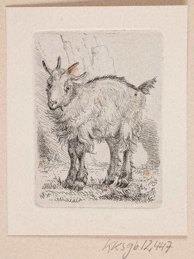 Un capretto da Johannes Wilhelm Zillen