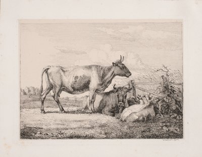 Mucche nel campo da Johannes Wilhelm Zillen