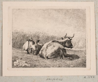 Due mucche a riposo da Johannes Wilhelm Zillen