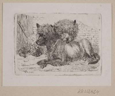 Due cani sdraiati da Johannes Wilhelm Zillen