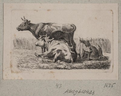 Tre mucche da Johannes Wilhelm Zillen