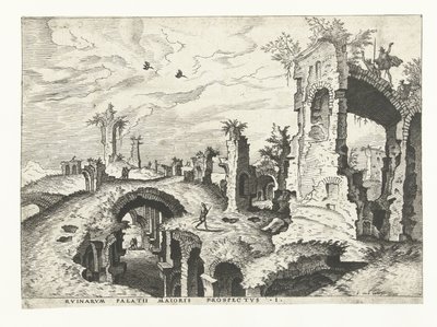 Vista delle rovine sul Palatino a Roma da Johannes of Lucas van Doetechum (attributed to)