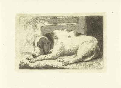 Cane che dorme da Johannes van Cuylenburgh