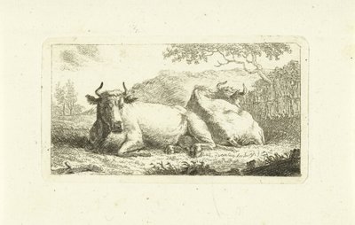 Due mucche sdraiate da Johannes van Cuylenburgh