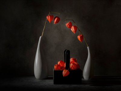  da John-Mei Zhong