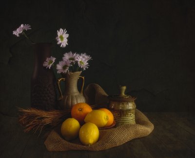 Fiori e frutta di Moody da John-Mei Zhong