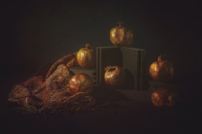 Natura morta con melograno di Moody da John-Mei Zhong