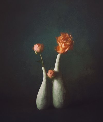Vasi Moody Rose da John-Mei Zhong